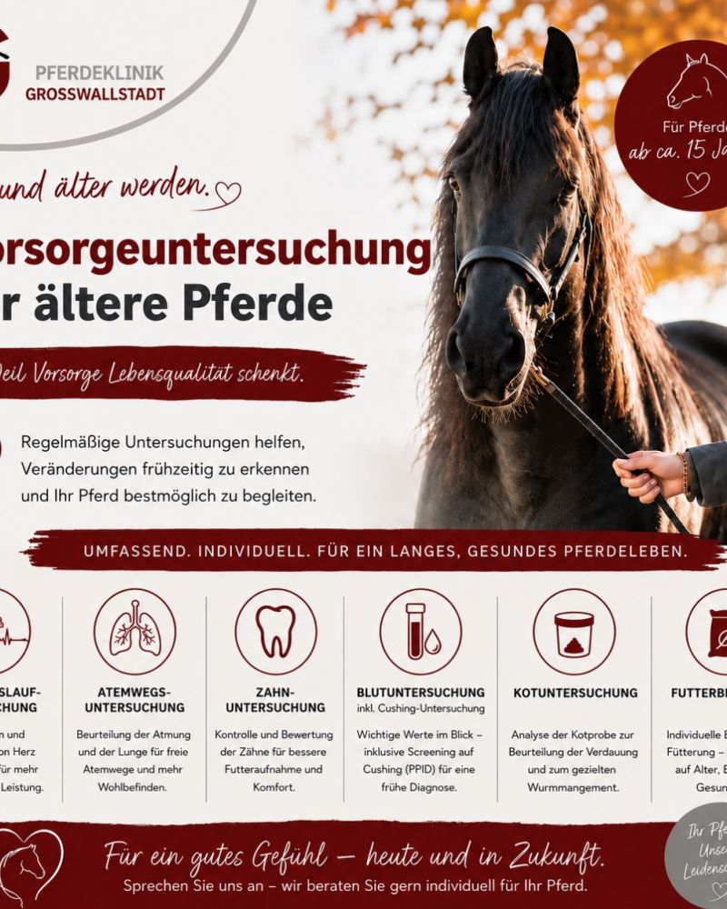 #pferdegesundheit#vorsorge#geriatriepferd#pferdeklinik