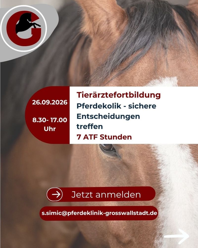 #pferdetierärzte#fortbildungentierarzt#kolikdiagnostik#ATFStunden#learningbydoing